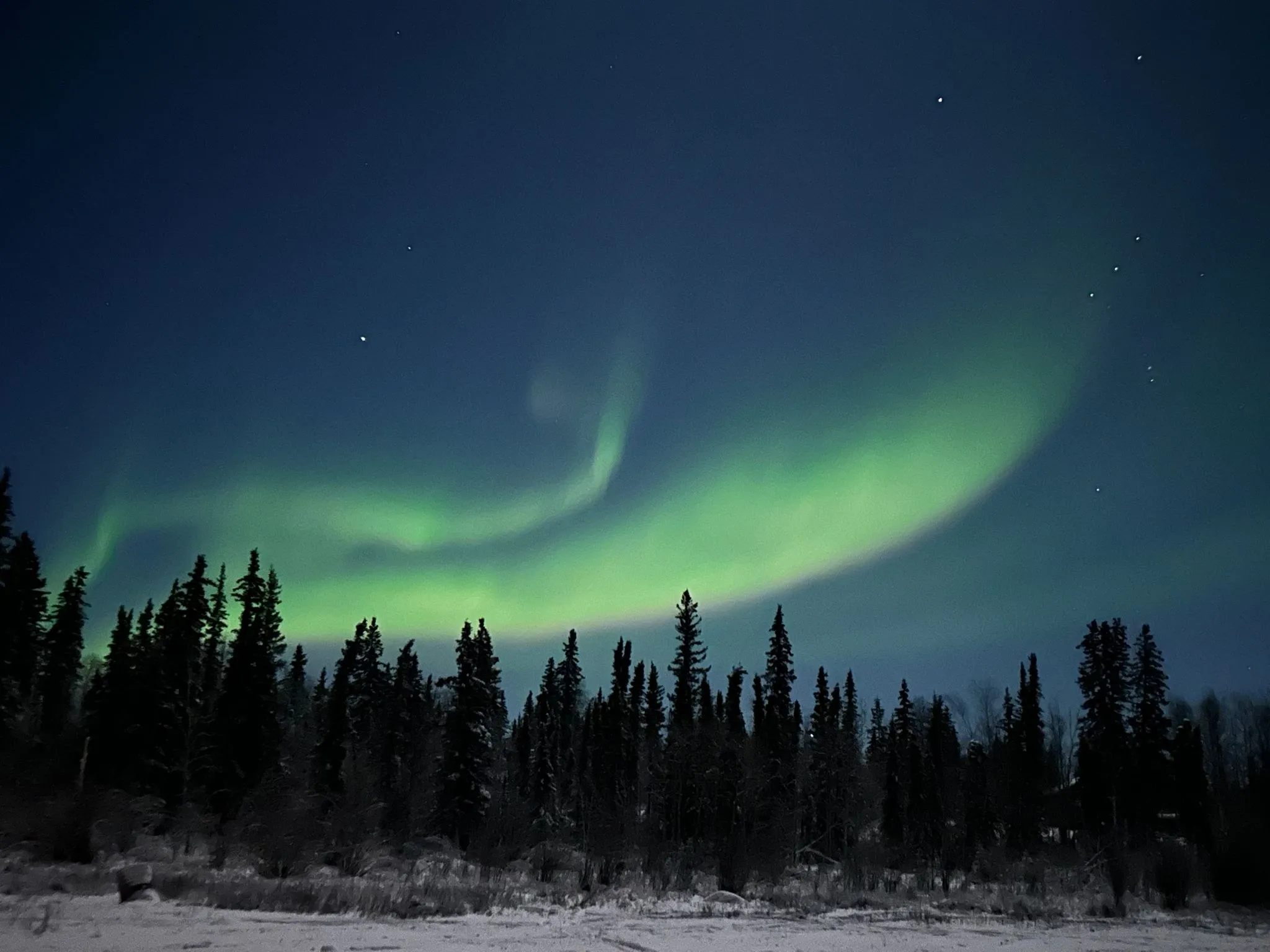 A green aurora arc over black spruce outside Yellowknife